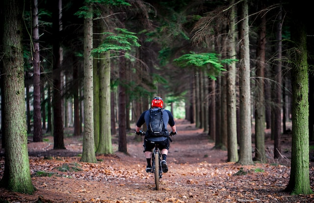 Mountainbike-Strecken