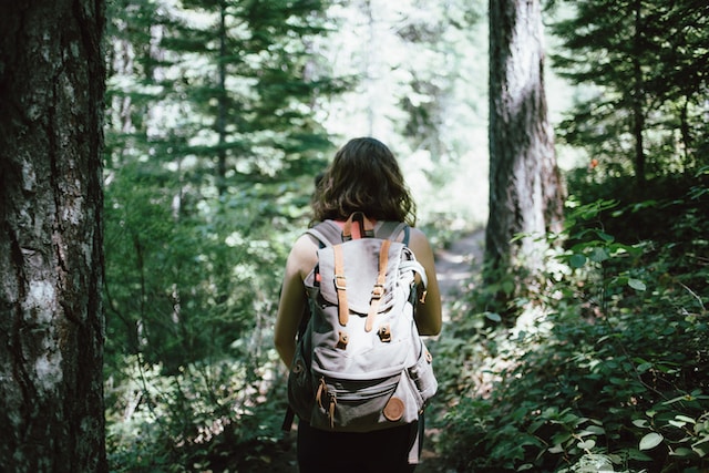 Die besten Harz-Wanderwege und Geheimtipps für Anfänger